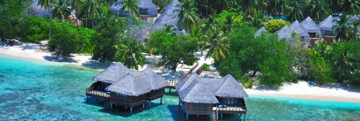 Туры в Bandos Maldives 4*
